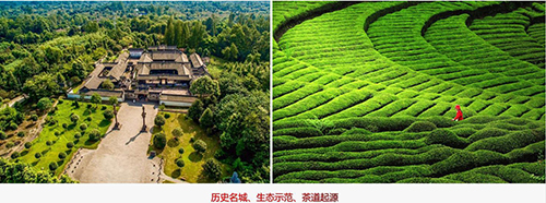 茶文化是歷史，設(shè)計源于何方